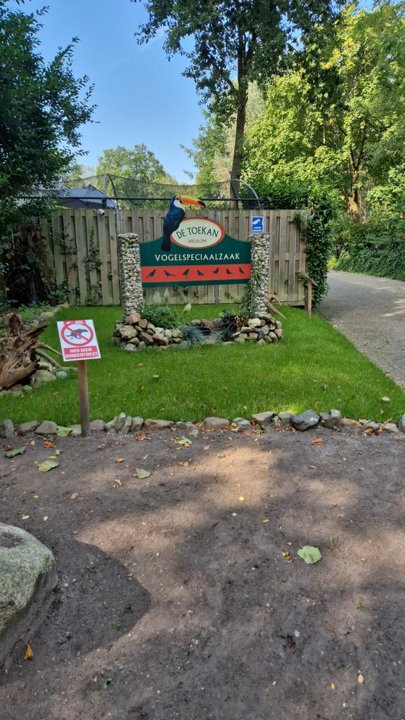 Geopend vanaf 10.00 uur  7 dagen per week ook op zon en fees, Dieren en Toebehoren, Vogels | Overige Vogels, Tropenvogel, Meerdere dieren