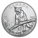 Canadian Wildlife - Cougar 1 oz 2012 (1.000.000 oplage), Postzegels en Munten, Munten | Amerika, Zilver, Losse munt, Verzenden