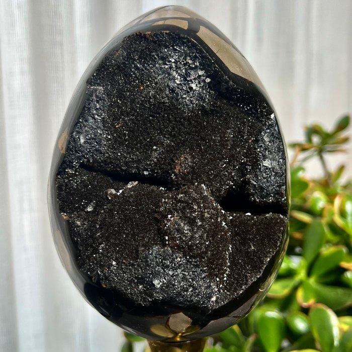 Septaria Wild Black Crystals Fine Large Wild Septaria Black, Verzamelen, Mineralen en Fossielen