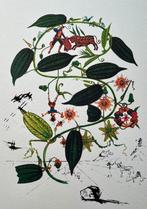 Salvador Dali (1904-1989) - Passion Flower-Limited Edition