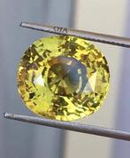 1 pcs Groen, Geel Alexandriet - 16.76 ct - Gemological, Nieuw