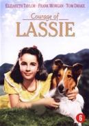 Courage of lassie - DVD, Cd's en Dvd's, Verzenden, Nieuw in verpakking