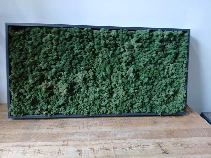 Mos wandschilderij, antraciet lijst, 120 x 60 cm, Diversen, Overige Diversen, Ophalen