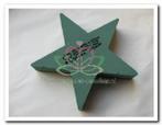 Oasis bioline ster 50 oase voor verse bloemen x 5,5 cm, Ophalen of Verzenden, Nieuw