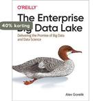 Enterprise Big Data Lake 9781491931554 Alex Gorelik, Verzenden, Zo goed als nieuw, Alex Gorelik