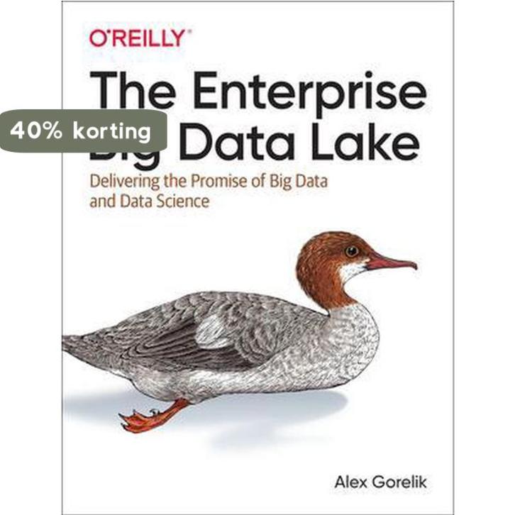 Enterprise Big Data Lake 9781491931554 Alex Gorelik, Boeken, Taal | Engels, Zo goed als nieuw, Verzenden