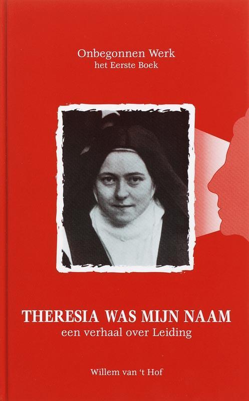 Onbegonnen werk Theresia was mijn naam 9789078661016, Boeken, Esoterie en Spiritualiteit, Zo goed als nieuw, Verzenden