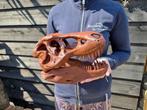 Dinosaurus Schedel - T-Rex Replica - 20.5 cm - 28 cm - 15 cm