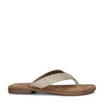 Lazamani slippers voor dames in het Goud, Kleding | Dames, Schoenen, Slippers, Overige kleuren, Verzenden, Lazamani