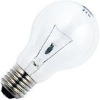 SPL Pizza ovenlamp E27 235V 100W helder 500ºC hittebesten.., Ophalen of Verzenden, Nieuw