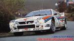 Hasegawa - 1/24 Lancia 037 Rallye, Hobby en Vrije tijd, Nieuw, Verzenden