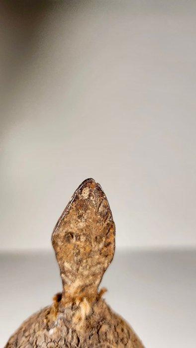 pop - vallen - Kameroen (Zonder Minimumprijs), Antiek en Kunst, Kunst | Niet-Westerse kunst