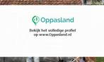 Sonia zoekt een oppas in Amsterdam voor 2 kinderen.