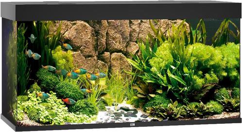 Rio 350 LED Zwart, Dieren en Toebehoren, Vissen | Aquaria en Toebehoren, Nieuw, Ophalen of Verzenden