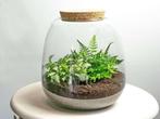 Planten terrarium - Emma Mini - DIY kit -  20 cm - Ø 19 cm, Verzenden