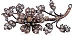 Broche - 18 karaat Geel goud, Zilver Diamant (Natuurlijk)