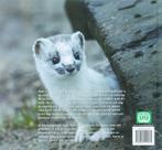 Struikrovers 9789050112475 S. Halewijn, Boeken, Verzenden, Zo goed als nieuw, S. Halewijn