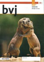 Biologie voor jou MAX 2 hv 2022 lob B 9789402072792, Verzenden, Zo goed als nieuw