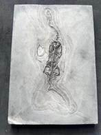 Zeereptiel - Gefossiliseerd dier - Keichousaurus - 24.7 cm -