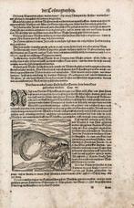 Sebastian Münster - Von den wunderbaren Geschöpfen Gottes,