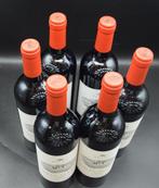 2019 Petra, Colle al Fico - Toscane - 6 Flessen (0.75 liter), Nieuw