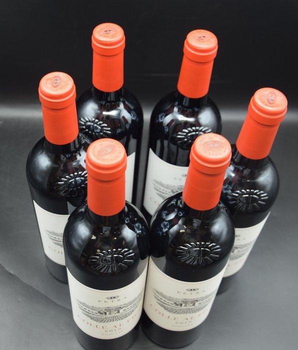 2019 Petra, Colle al Fico - Toscane - 6 Flessen (0.75 liter), Verzamelen, Wijnen