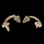 Oud-Grieks, Klassieke Periode Zilver Paar militaire fibulae, Antiek en Kunst