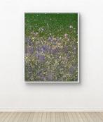 Parfen.D XL - “Lavender Meadow”