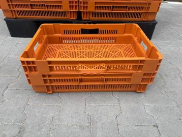 Oranje Kipkrat 600x400x140 mm – Gebruikt en Nestbaar beschikbaar voor biedingen