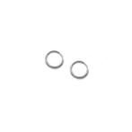Roestvrij stalen zilveren oorringen 12mm, Sieraden, Tassen en Uiterlijk, Oorbellen, Verzenden, Nieuw, Zilver