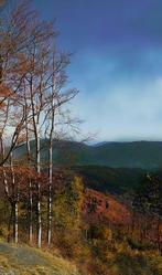 Mariska Karto - Valley