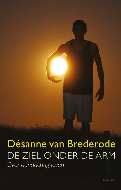 De ziel onder de arm 9789021441870 Désanne van Brederode, Boeken, Literatuur, Gelezen, Verzenden