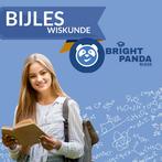 Wiskunde B bijlessen – Haarlem, Privéles, Bijles