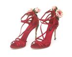Een paar rode Dolce en Gabbana pumps met rozen, Kleding | Dames, Schoenen, Pumps, Dolce en Gabbana, Gedragen, Rood