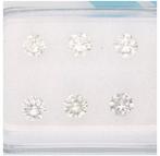 6 pcs Diamant (Natuurlijk) - 0.98 ct - Rond - VS1, VS2 -, Nieuw