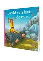 David verslaat de reus 9789089120724, Verzenden, Gelezen