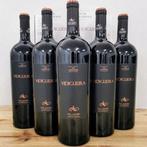 2023 Vidigueira - Alentejo DOC - 5 Magnums (1.5L), Nieuw