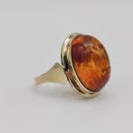 Zonder minimumprijs - Ring - 8 karaat Geel goud - 5.00ct., Nieuw