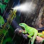 Terrarium Mist Systeem voor Reptielen – Automatische Sproeie, Verzenden, Nieuw