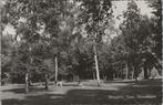 DINXPERLO - Gem. Wandelpark, Verzamelen, Verzenden, Gelopen