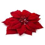 Kerstbloem | Everlands | Kerstster (Rood, Clip), Diversen, Kerst, Verzenden, Nieuw