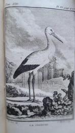Buffon - Histoire des oiseaux [tome 13] / Histoire des, Antiek en Kunst