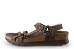 Panama Jack Sandalen in maat 37 Bruin, Bruin, Verzenden, Sandalen of Muiltjes, Zo goed als nieuw