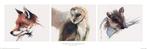 Poster Sarah Stokes Patience and Innocence 91,5x30,5cm, Verzenden, Nieuw, A1 t/m A3