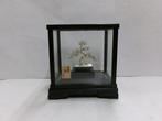 De boom van de den van Sterling zilver. Bonsai boom. #36 g /, Antiek en Kunst