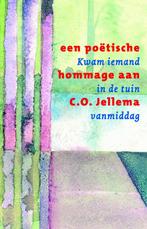 Kwam iemand in de tuin vanmiddag 9789077487532 Benno Barnard, Boeken, Verzenden, Zo goed als nieuw, Benno Barnard