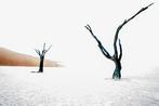 Emiliano Vegliante - Suspended in Time: Deadvlei