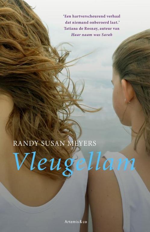 Vleugellam 9789047201960 Randy Susan Meyers, Boeken, Romans, Gelezen, Verzenden