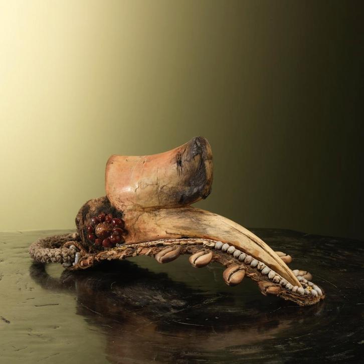 Neushoornvogel Schedel Tribal, Verzamelen, Dierenverzamelingen, Opgezet dier, Nieuw, Vogel, Ophalen of Verzenden