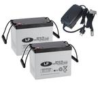 Landport (LP) 2x EV12-75 accus 12 volt 75 ah + IMPULS II, Auto-onderdelen, Accu's en Toebehoren, Ophalen of Verzenden, Nieuw
